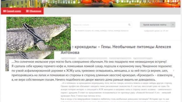 В рубрике «Живая среда» - домашние рептилии Алексея Антонова смотреть онлайн