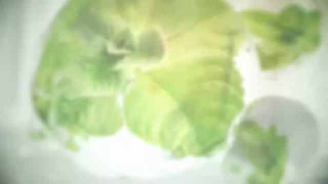 LANBENA Teeth Whitening Mousse смотреть онлайн