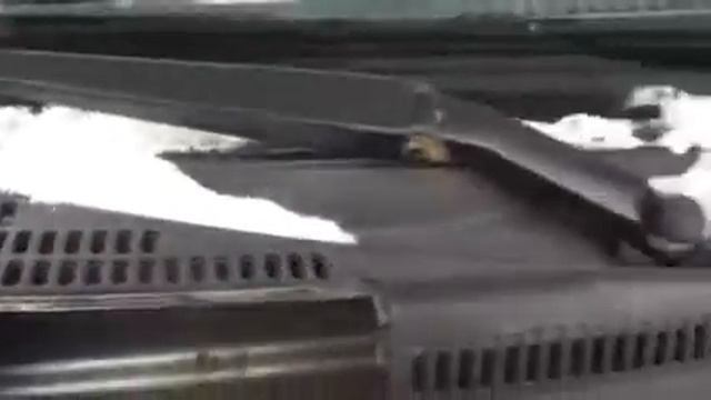 Где вин Chery Indis