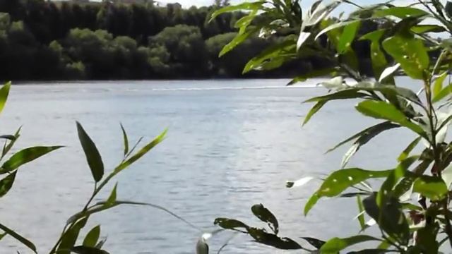 Немцы на Волге... смотреть онлайн