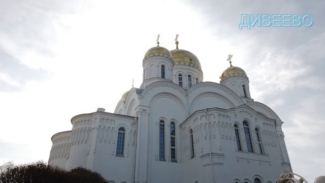 №154 Родовое проклятие Рвем цепи смотреть онлайн