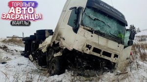 Очередные Торопыги и Водятлы! Осенний Сезон