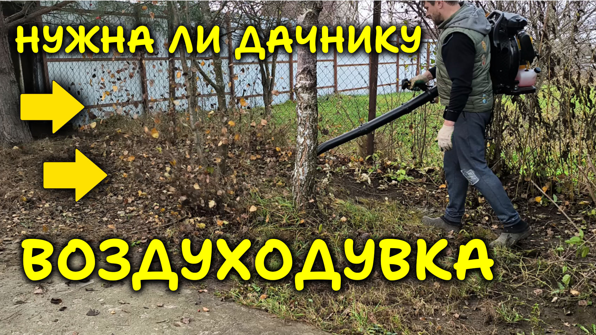 Нужна ли на даче ВОЗДУХОДУВКА и какую воздуходувку купить смотреть онлайн