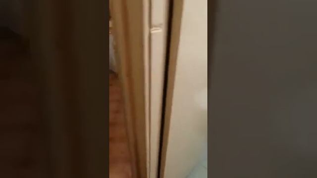 Мировые декоративные идеи на русском