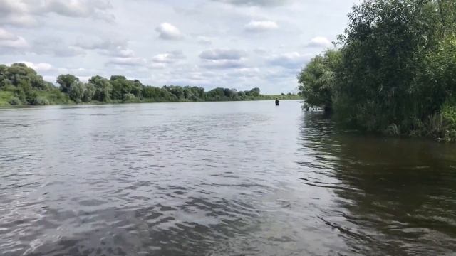 река ОКА Новосёлки 17 24 июль 2017 год смотреть онлайн