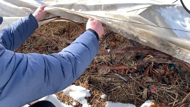 Открытие дачного сезона 2023. Первый осмотр перезимовки смотреть онлайн