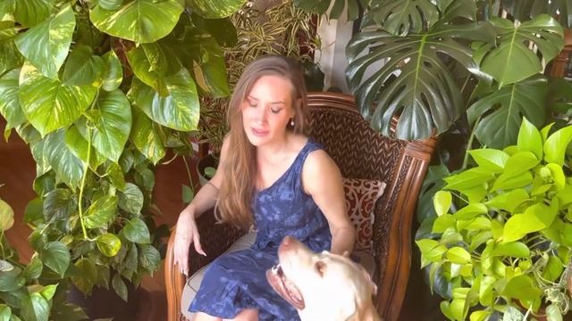 Grow Giant Pothos and Giant Pothos Leaves, Today! | Pothos Care Guide | Devil's Ivy Tips & Tricks смотреть онлайн