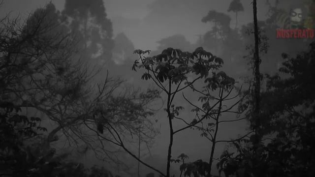 История на ночь - Олеся Свиридова (имя изменёно). смотреть онлайн