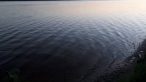 Бешеный клев леща! Река Волга Конаково Ловля фидером