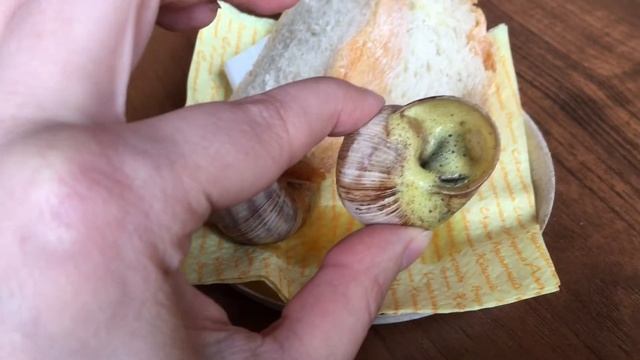 Экскурсия по улиточной ферме. Беларусь смотреть онлайн