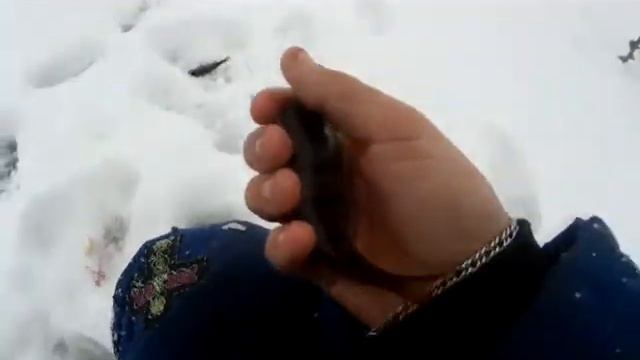 Съездили на рыбалку с напарником! смотреть онлайн