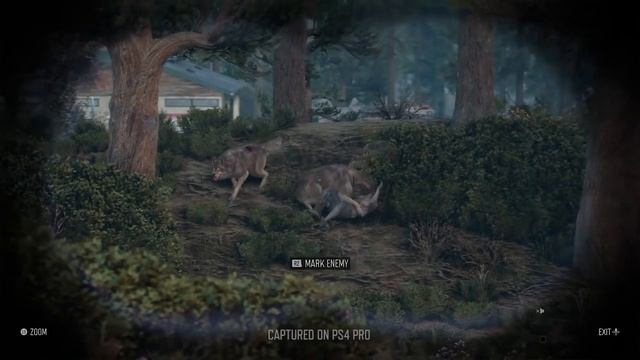 Как изменить ник PSN? Почему не стоит менять ник на PS4! смотреть онлайн