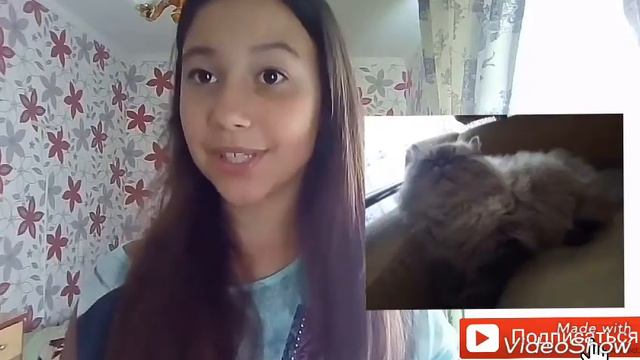 Видео про животных! смотреть онлайн