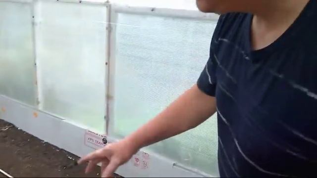 62/18 Дела тепличные на 31.08.2018г. / теплый пол, огурцы, лук смотреть онлайн