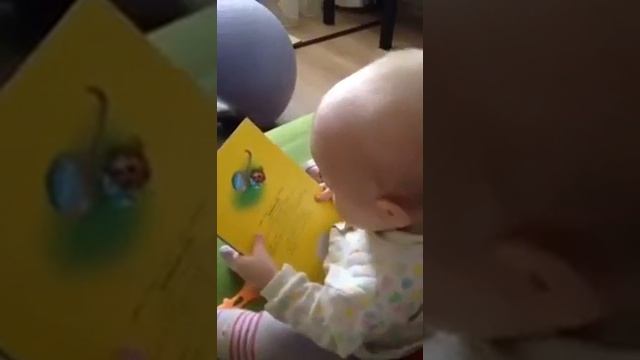Вот как надо книжки читать смотреть онлайн