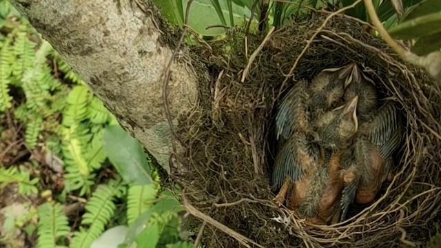 Как Сделать с Душой и Стилем