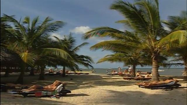 Light, as seen by FLIR. смотреть онлайн