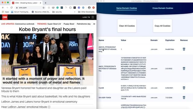 Live Cookie Chrome Extension Demo смотреть онлайн