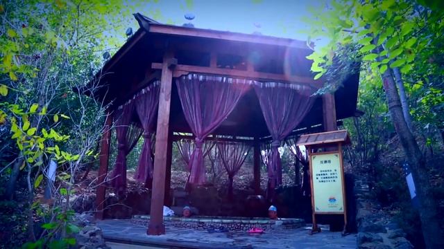 Клиника Долгожитель в Инкоу, Китай смотреть онлайн