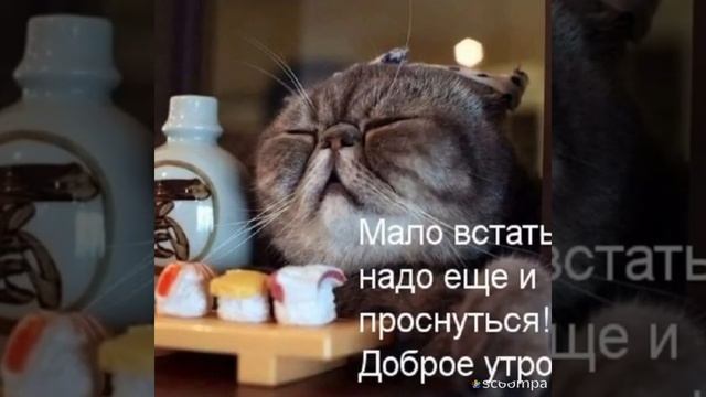 Доброго зимнего утра моим друзьям!!! смотреть онлайн