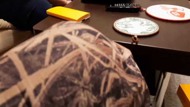 Дрессировка собак. Чихуа первая встреча. смотреть онлайн