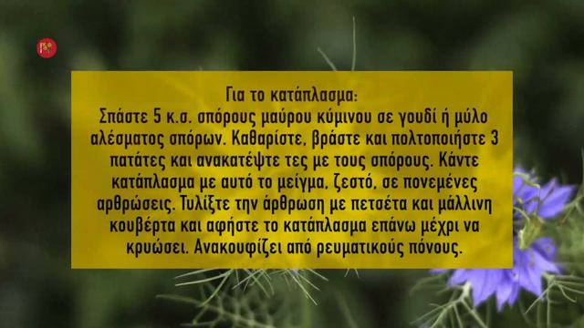 Μαύρο Κύμινο Το Μαγικό Φυτό смотреть онлайн