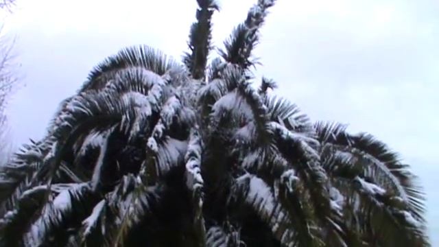 20_02_2012 _Морозное Сочинское утро.mp4 смотреть онлайн