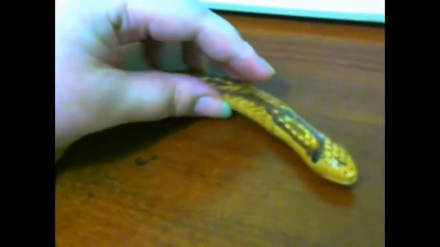 Желтобрюхий Полоз Зира Змея смотреть онлайн