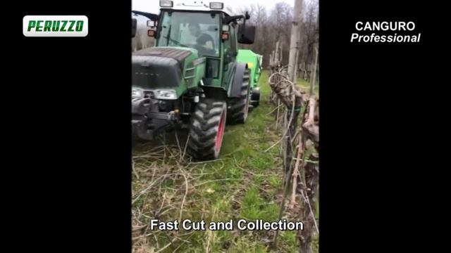 31 Цеповая косилка со сбором Peruzzo Canguro Normal и Professional смотреть онлайн
