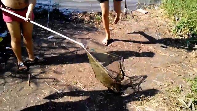 Кукуруза Бондюэль Бондюэль!!! Ловим рыбку !!! смотреть онлайн