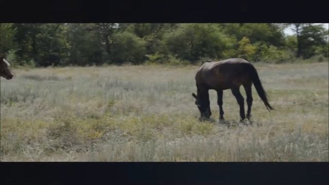 Фотосессия с Ритой Ложкиной смотреть онлайн