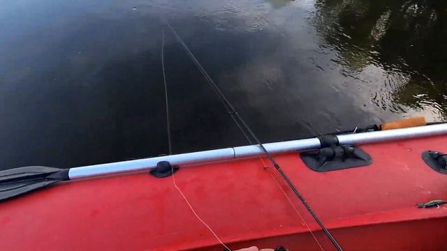 ЩУКА НА КАЖДОМ ЗАБРОСЕ. ТРЯСУТСЯ РУКИ. РЫБАЛКА НА ТОМИ. ДЖИГ или РАТЛИН ??? смотреть онлайн