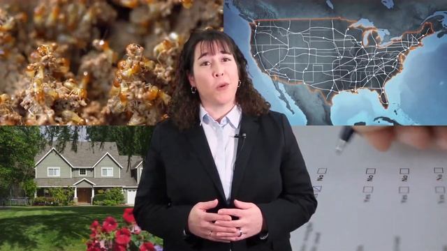 Termite Awareness Week - Intro смотреть онлайн