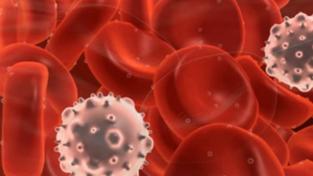 Голодание помогает бороться с лейкемией у детей смотреть онлайн