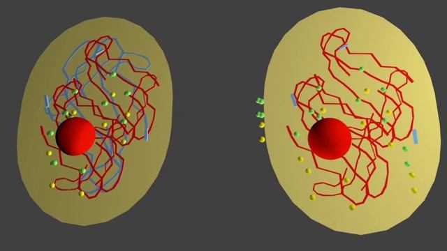 Interphase 4 animation смотреть онлайн