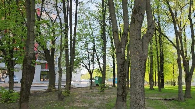 16. VLOG 2023 Танцы / Северная Европа / Северная Америка / Минск мир Minsk World смотреть онлайн