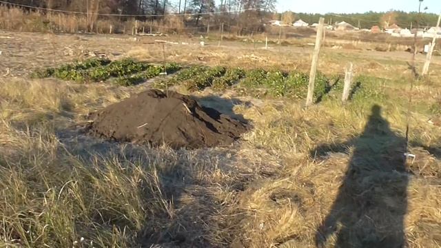 Посадка сада в холмы смотреть онлайн