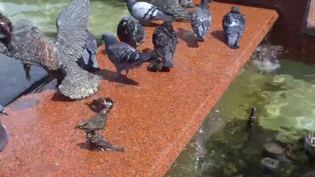 Калуга смотреть онлайн