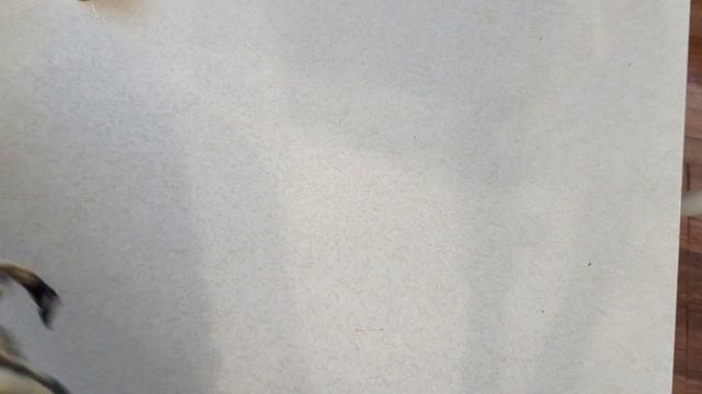 Легко и просто рисуем лису и киску. смотреть онлайн