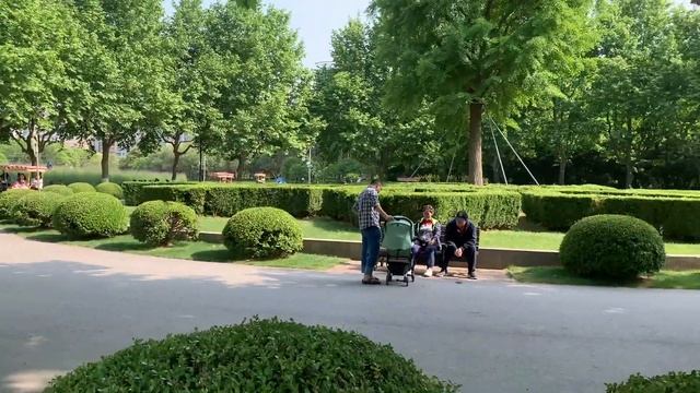 Visiting Century Park! | #Shanghai Vlog смотреть онлайн