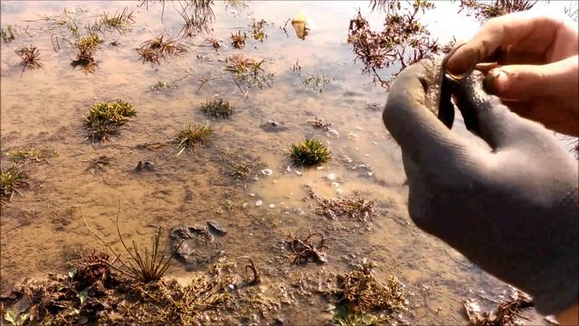 Коп на пляже Minelab Explorer SE Metal detecting on beach смотреть онлайн