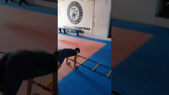 Проходы в ноги. Координационная лестница смотреть онлайн