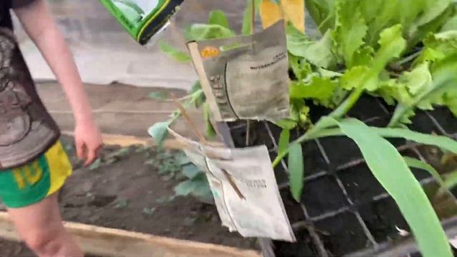 Садим огород | москвички в деревне?