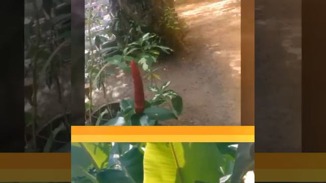 Тайланд под Новый год смотреть онлайн