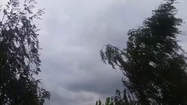 ВОТ ЧТО БУДЕТ ПОКА Я В МЕДИТАЦИИ... 20 05 21... смотреть онлайн