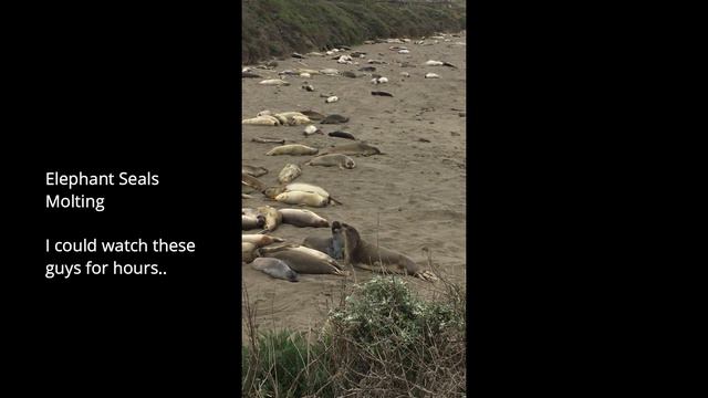 Road Trip || Cambria, CA смотреть онлайн