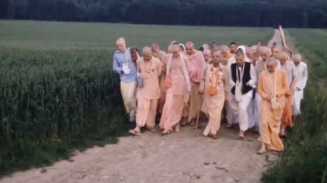 In This Life We Shall Make A Solution. No More. No More Coming Again - Prabhupada 0358