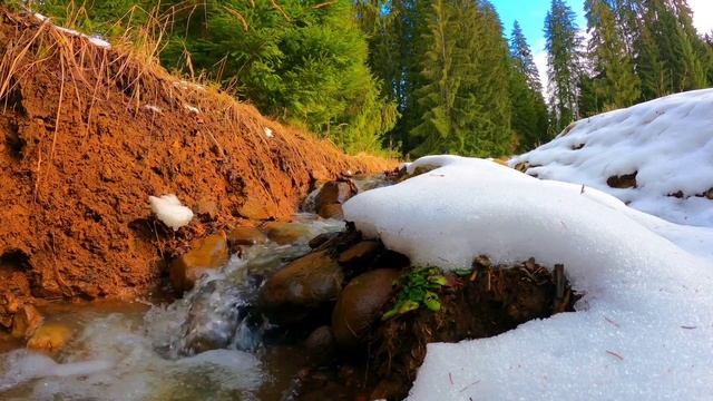 Расслабляющий звук ручья/звуки леса для медитации и релакса смотреть онлайн