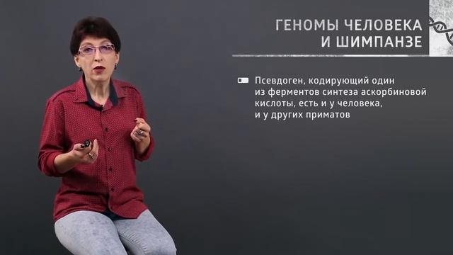 Человек и шимпанзе сходство и отличия геномов смотреть онлайн