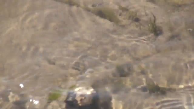 "Простые радости" лучшие моменты. Озеро Чистое. Карась 2 ч. смотреть онлайн